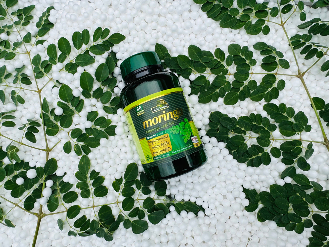 🌿 Lactomil Moringa Capsules – Nature’s Multivitamin for Modern Wellness